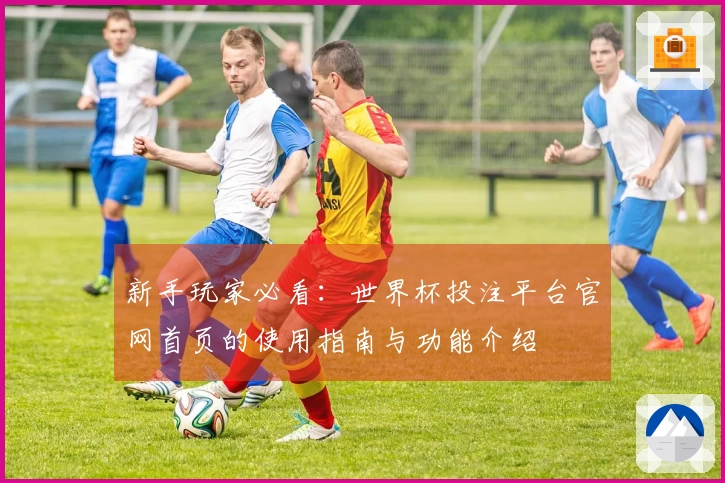 新手玩家必看：世界杯投注平台官网首页的使用指南与功能介绍