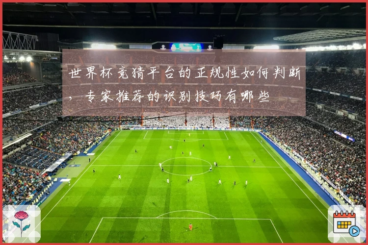 世界杯竞猜平台的正规性如何判断,专家推荐的识别技巧有哪些