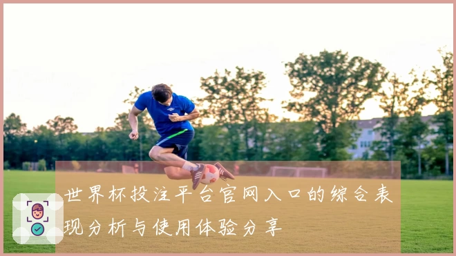 世界杯投注平台官网入口的综合表现分析与使用体验分享