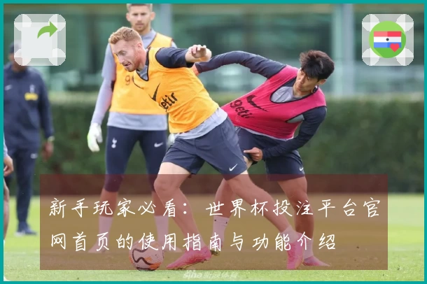 新手玩家必看：世界杯投注平台官网首页的使用指南与功能介绍