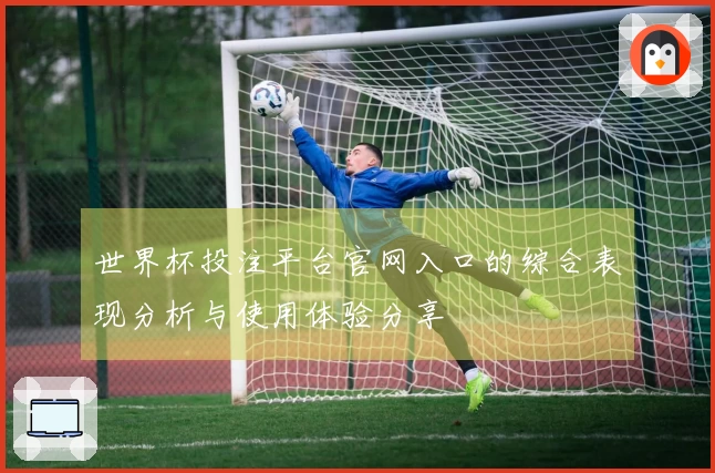 世界杯投注平台官网入口的综合表现分析与使用体验分享