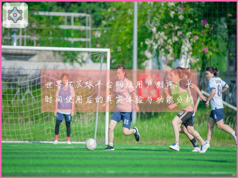 世界杯买球平台网址用户测评：长时间使用后的真实体验与功能分析