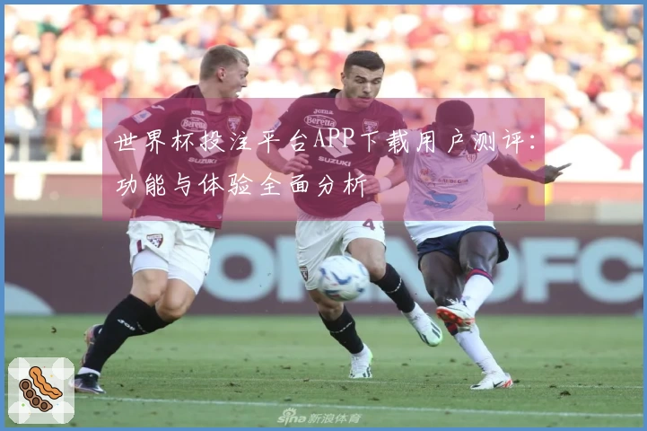 世界杯投注平台APP下载用户测评：功能与体验全面分析