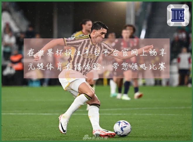 在世界杯投注平台平台官网上畅享无缝体育直播体验，带您领略比赛的每个瞬间