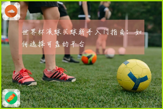 世界杯滚球买球新手入门指南：如何选择可靠的平台