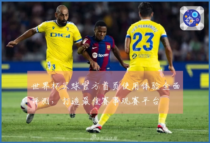 世界杯买球官方首页使用体验全面评测,打造最佳赛事观赛平台