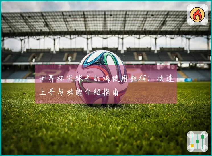 世界杯买球手机端使用教程：快速上手与功能介绍指南